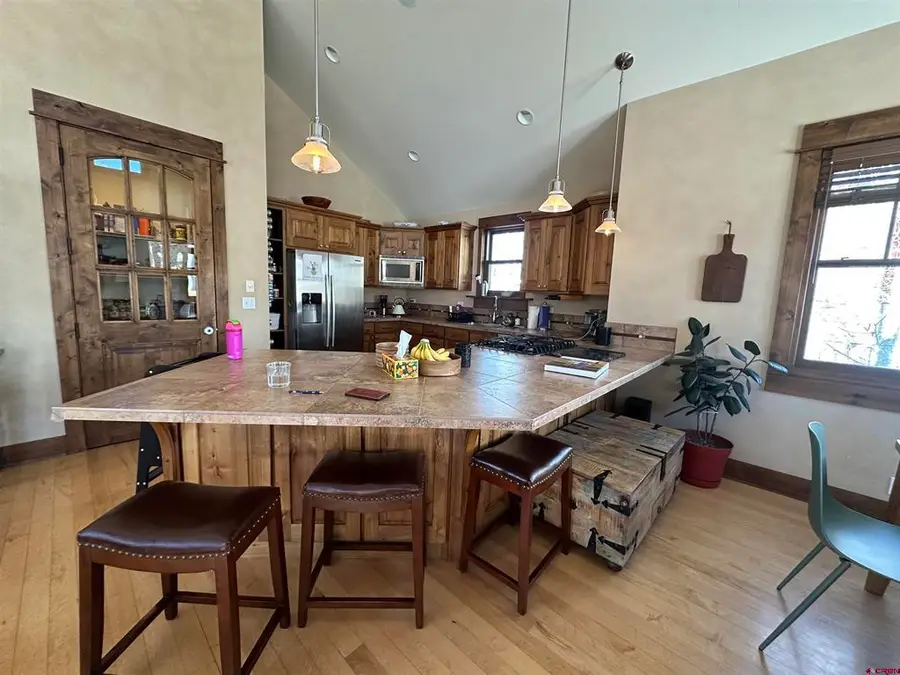 111 Alpine Court, Crested Butte, CO 81224 - #3