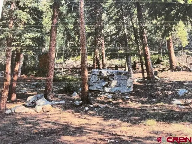 TBD Usfs Rd 766 Road, Pitkin, CO 81241 - #1