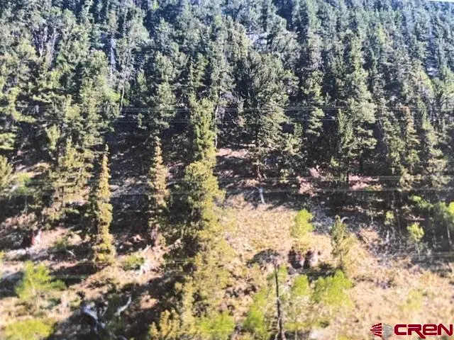 TBD Usfs Rd 766 Road, Pitkin, CO 81241 - #3