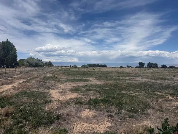 Lot 1 Flintlock Lane, Olathe, CO 81425
