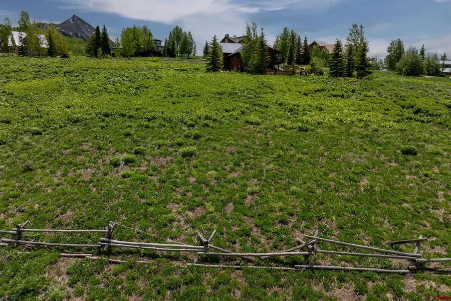 918 Gothic Road, Mount Crested Butte, CO 81225 - #3