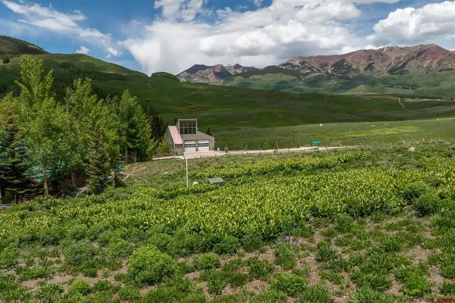 41 Anthracite Drive, Mount Crested Butte, CO 81225 - #3