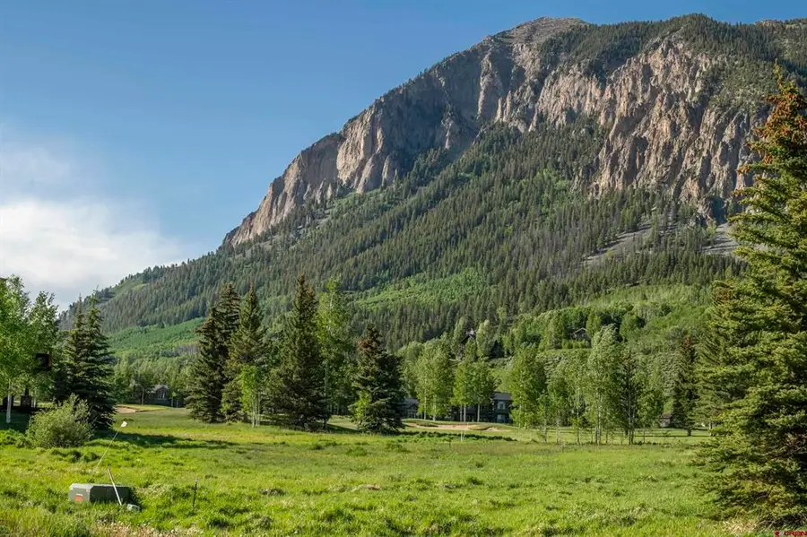 315 Par Lane, Crested Butte, CO 81224 - #3
