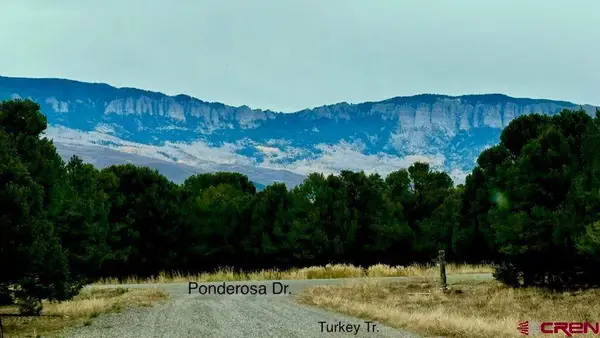 Lot 13 Ponderosa Drive, Ridgway, CO 81432