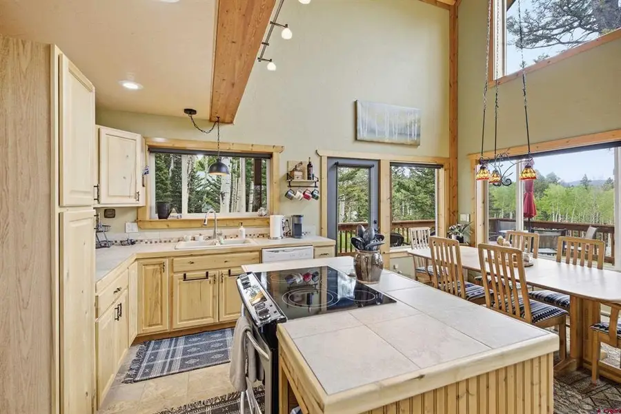779 Balsam Drive, Cimarron, CO 81220 - #3