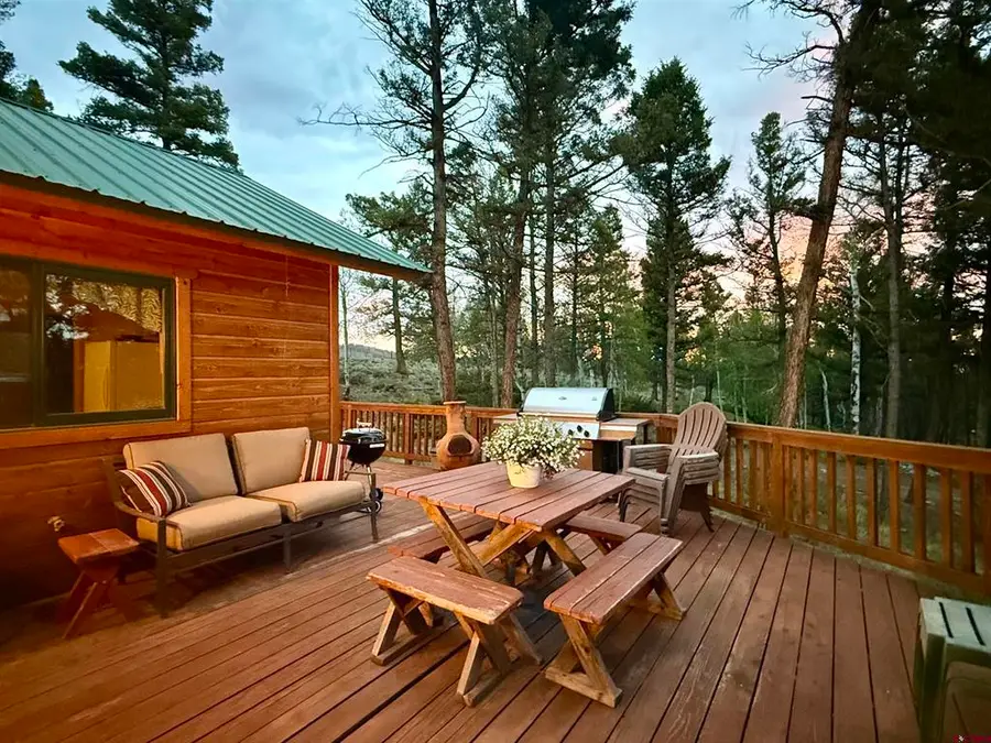 713 Blue Mesa Drive, Powderhorn, CO 81243 - #2