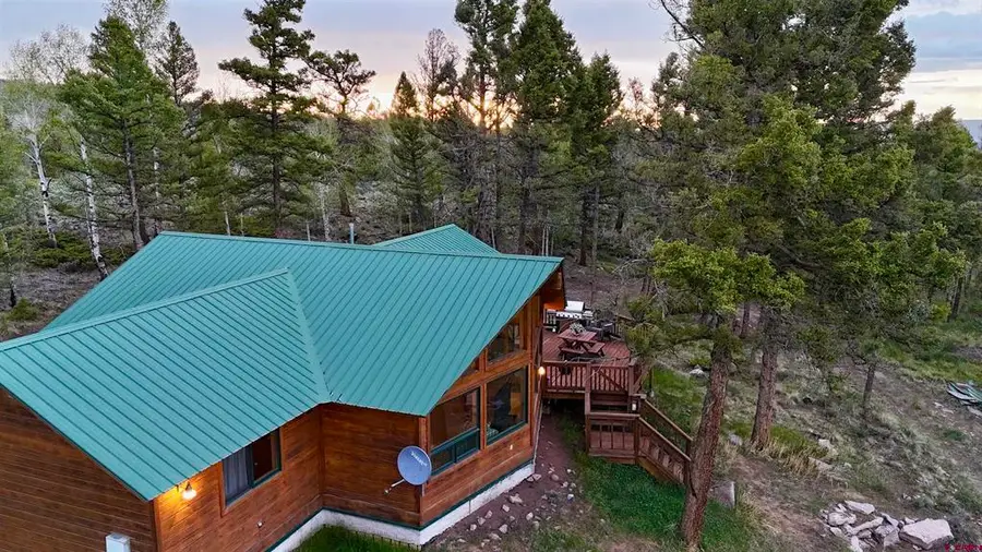 713 Blue Mesa Drive, Powderhorn, CO 81243 - #3