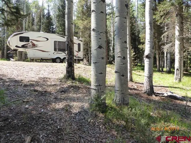 465 Aspen Drive, Cimarron, CO 81220 - #2