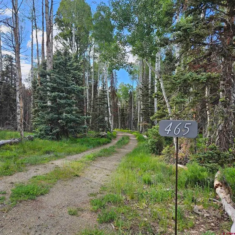 465 Aspen Drive, Cimarron, CO 81220 - #3