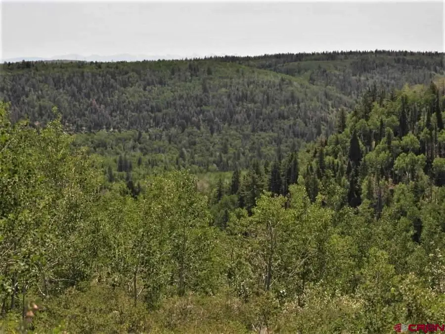 TBD Transfer Road, Montrose, CO 81403 - #2