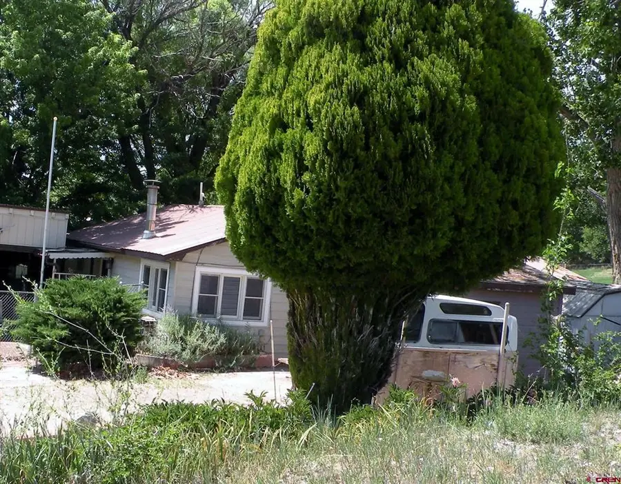 334 Fox Street, Nucla, CO 81424 - #3