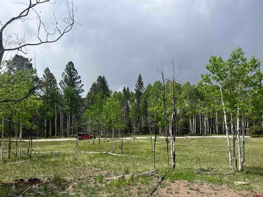 254 Aspen Trail, Cimarron, CO 81220 - #2