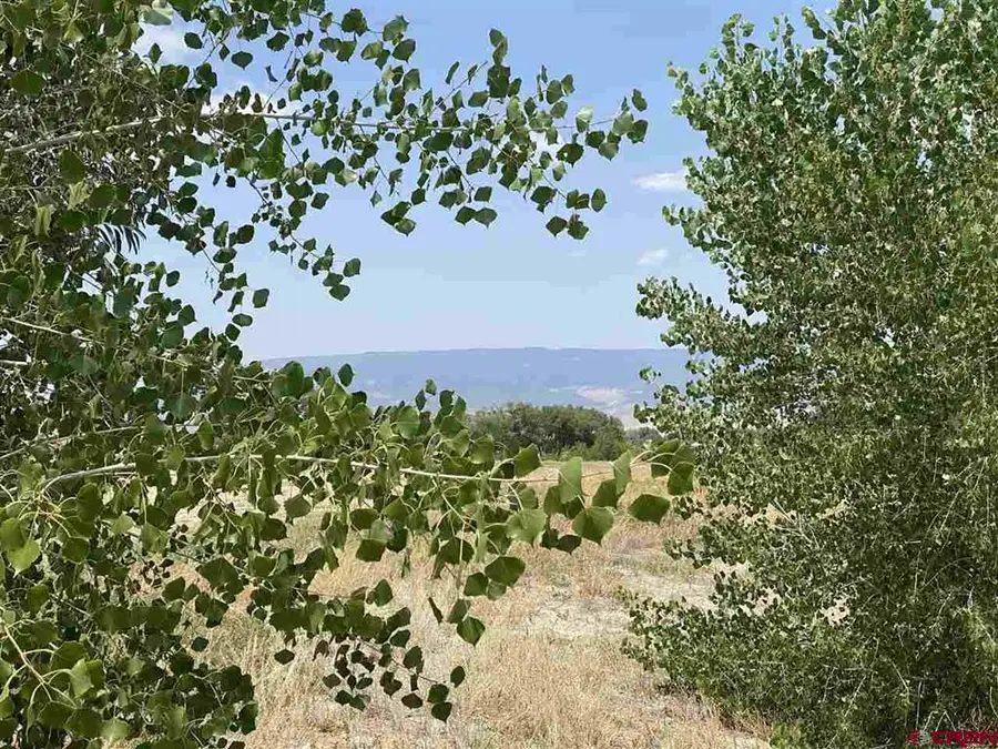 6120 Stirrup Creek Road, Delta, CO 81416 - #3