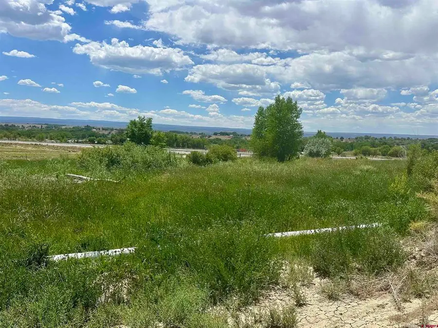 TBD Highway 50, Olathe, CO 81425 - #2