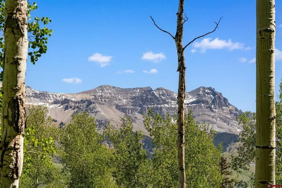 TBD Wapiti 37, Telluride, CO 81435 - #3