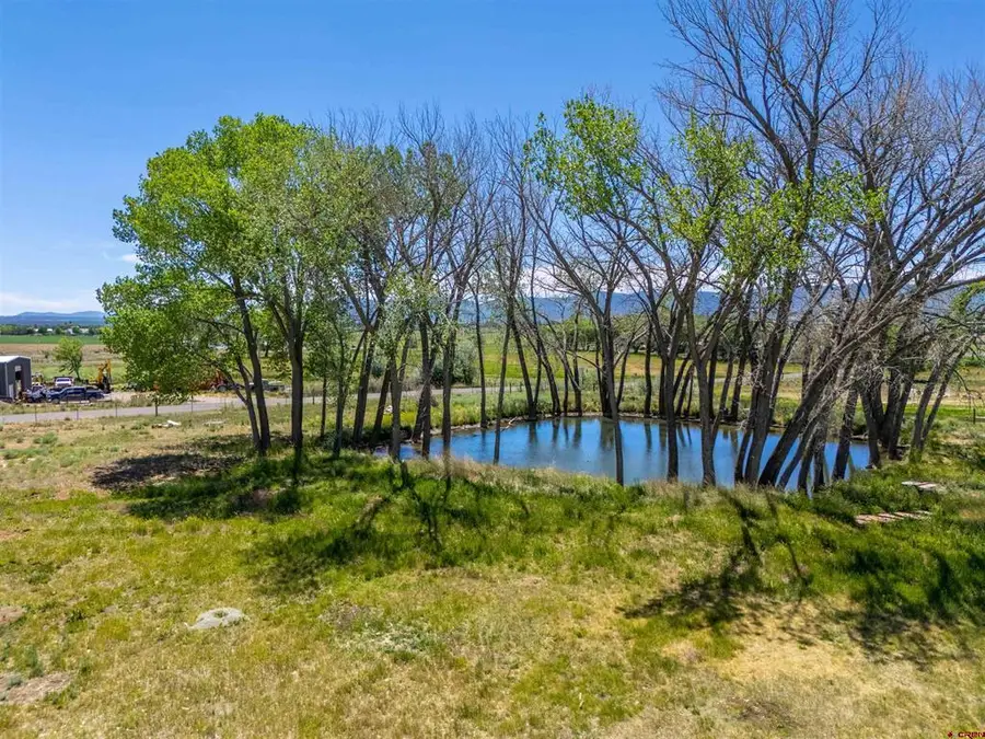 12195 Road 26, Cortez, CO 81321 - #3