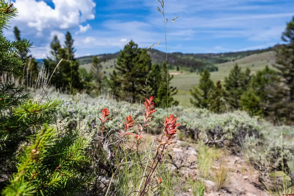 1021 Slumgullion Trail, Powderhorn, CO 81243 - #1