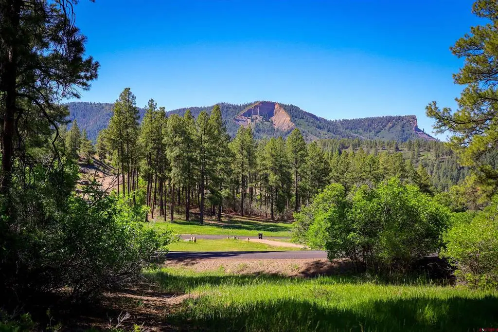 379 Ironwood Drive, Pagosa Springs, CO 81147 - #1