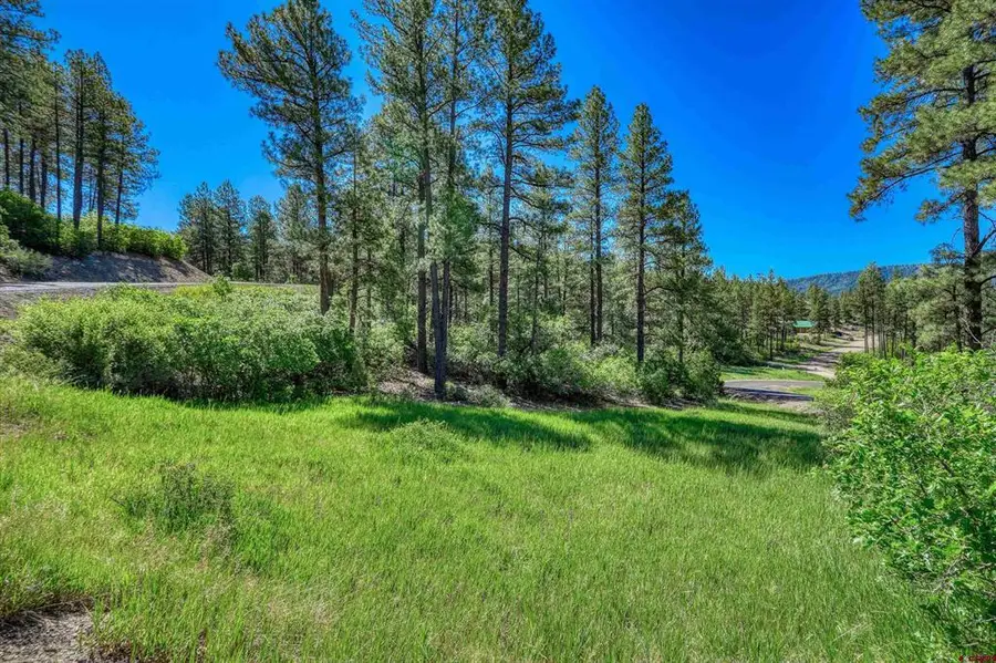 379 Ironwood Drive, Pagosa Springs, CO 81147 - #3