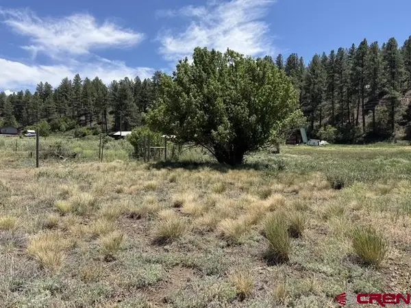 10700 & 10750 W Highway 160, Pagosa Springs, CO 81147