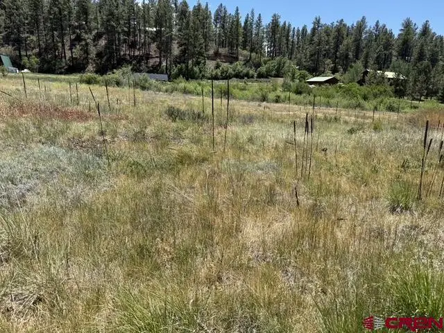 10700 & 10750 W Highway 160, Pagosa Springs, CO 81147 - #2