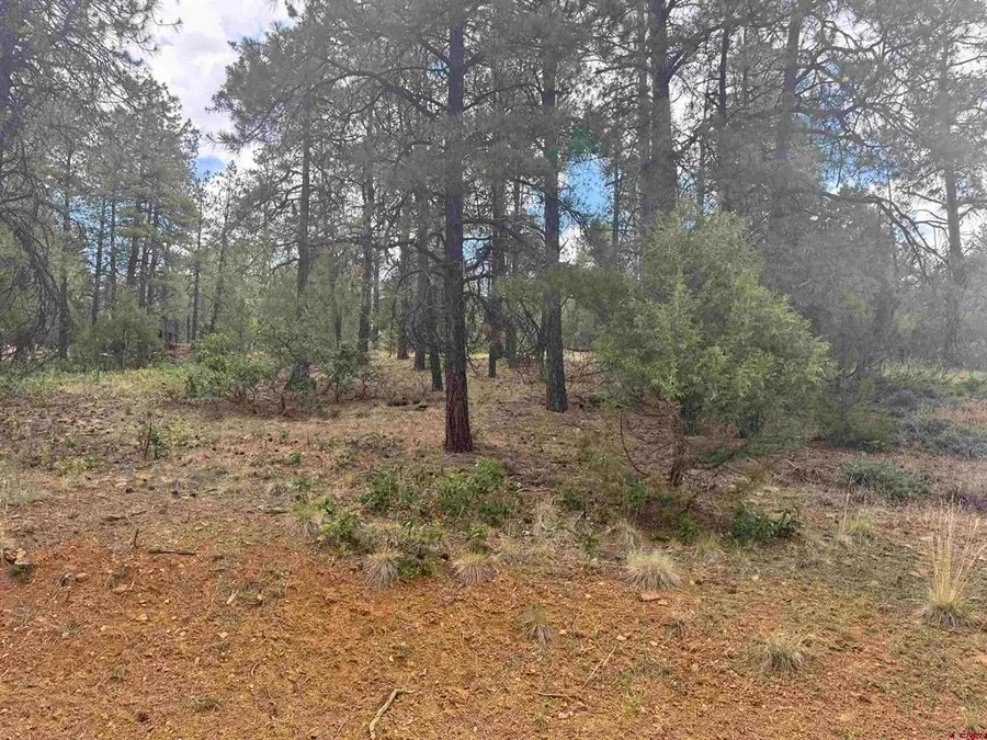 1259 Westview Road, Pagosa Springs, CO 81147 - #2