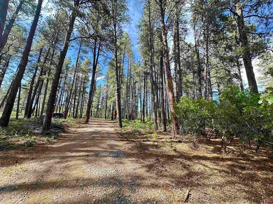996 & 1032 Raccoon Drive, Pagosa Springs, CO 81147 - #2