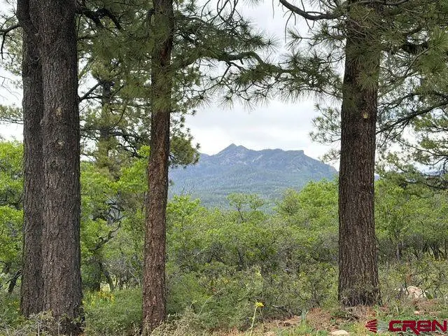 1073 Jacobson Circle, Pagosa Springs, CO 81147 - #3