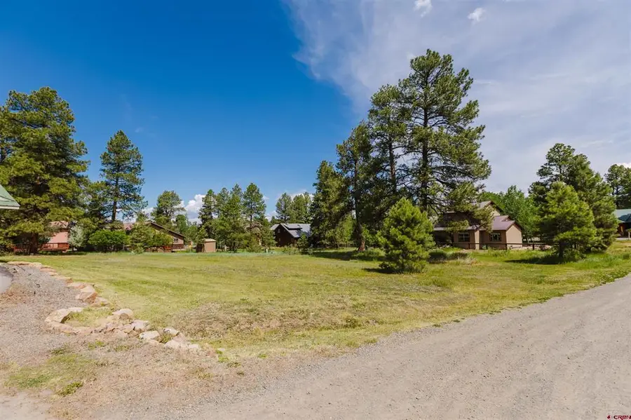 33 S Birdie Court, Pagosa Springs, CO 81147 - #3