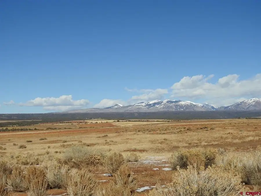 888 Crystal Acres, Hesperus, CO 81326 - #3