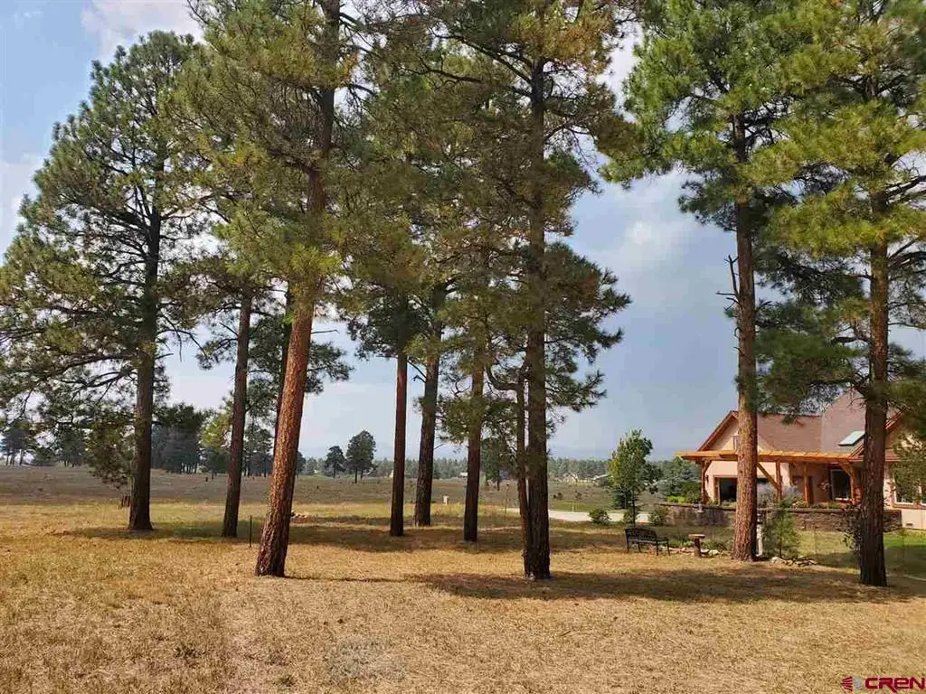 69 Capstone Circle, Pagosa Springs, CO 81147 - #1