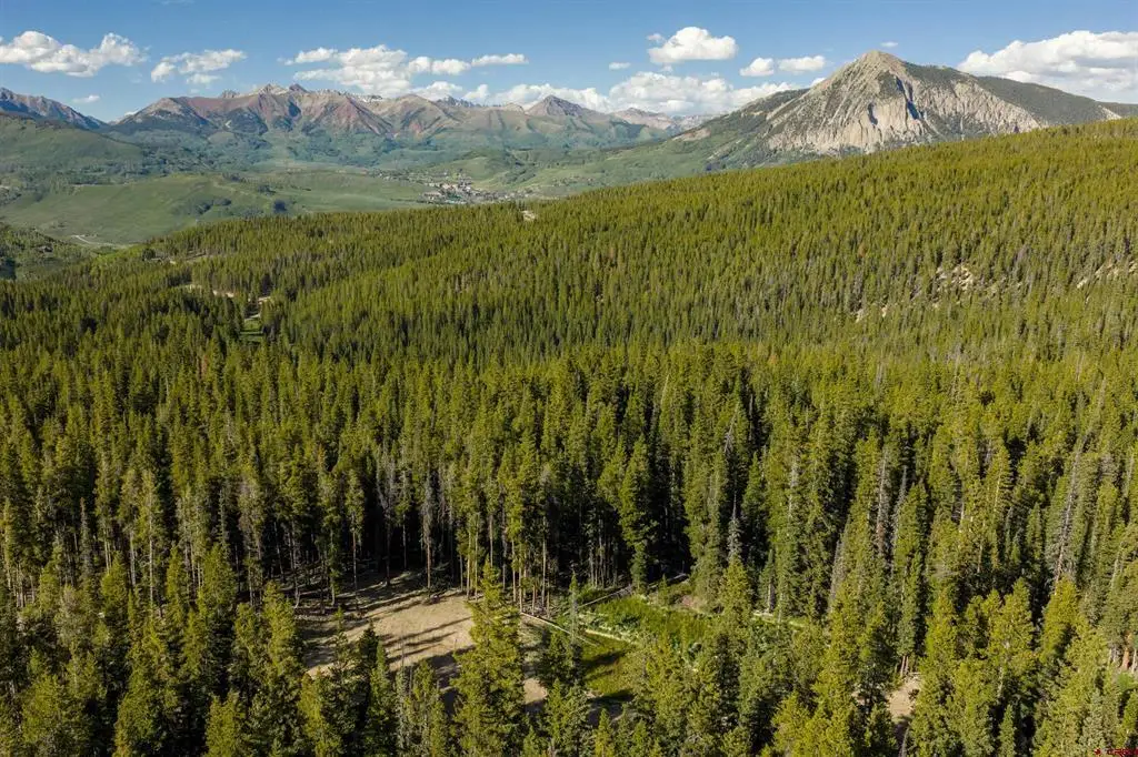 5350 Wildcat Trail, Crested Butte, CO 81224 - #1