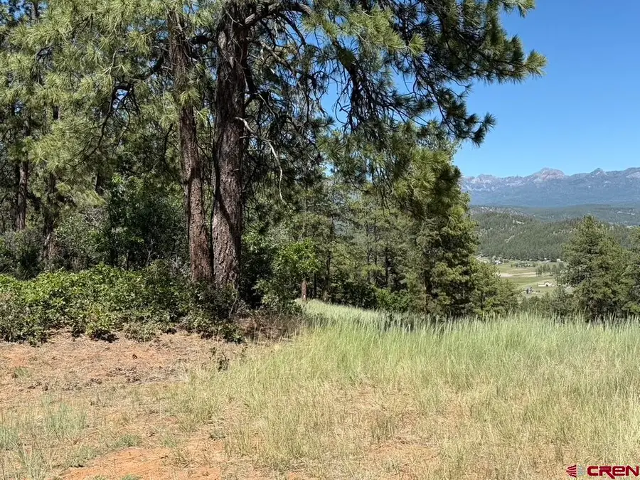 Alder Place, Pagosa Springs, CO 81147 - #2