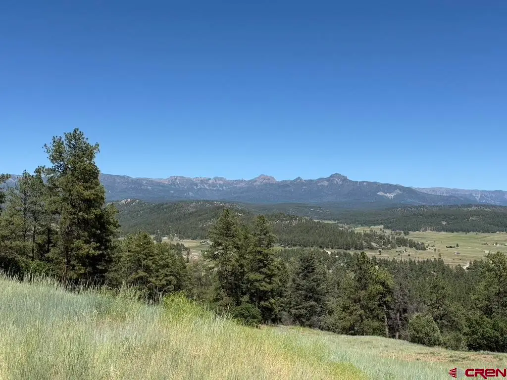 281 Alder Place, Pagosa Springs, CO 81147 - #1
