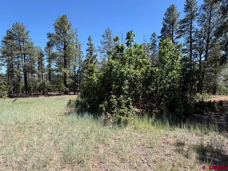 281 Alder Place, Pagosa Springs, CO 81147 - #2