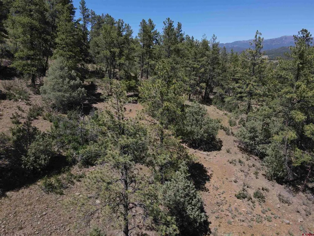 143 Boulder Drive, Pagosa Springs, CO 81147 - #1