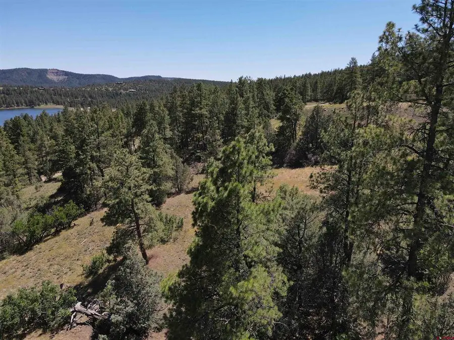 143 Boulder Drive, Pagosa Springs, CO 81147 - #2