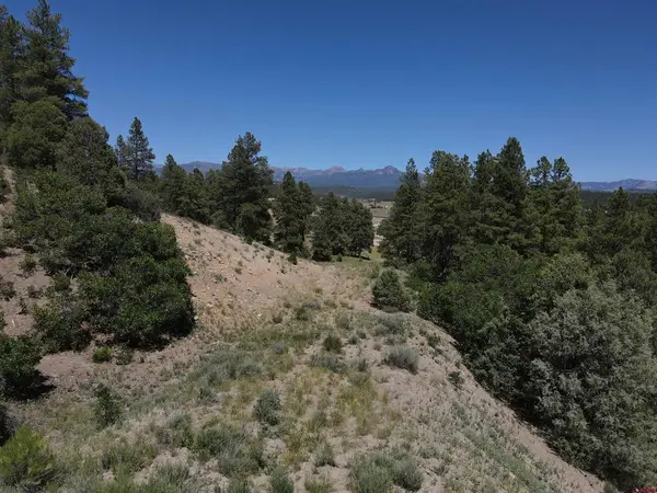 361 Chamisa Place, Pagosa Springs, CO 81147
