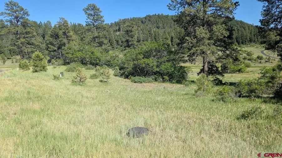 184 Clint Circle, Pagosa Springs, CO 81147 - #3