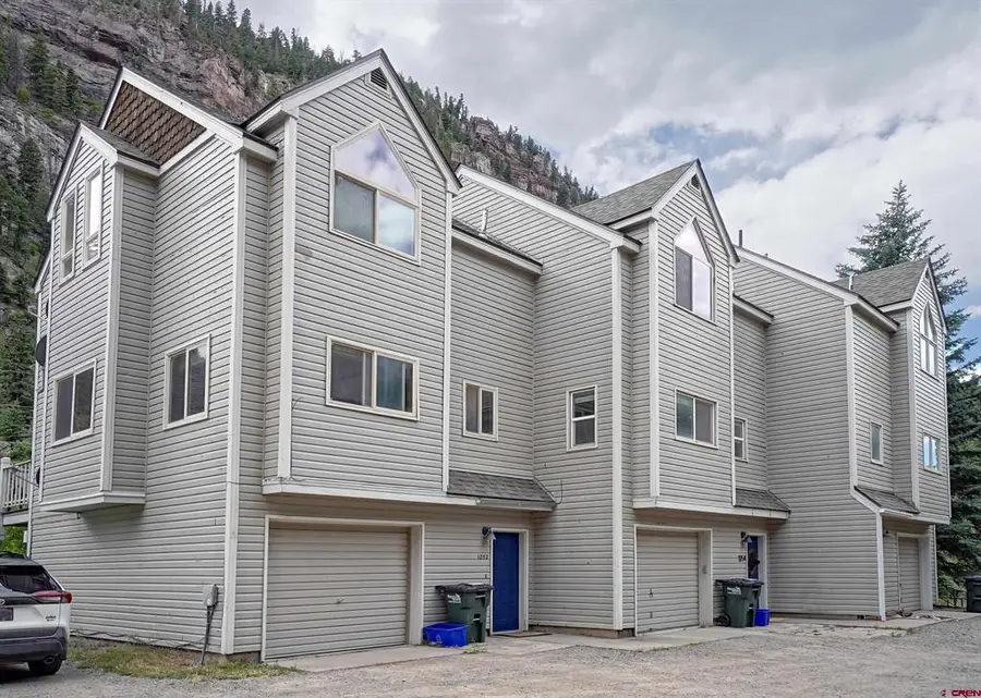 1256 Champ Lane, Ouray, CO 81427 - #3