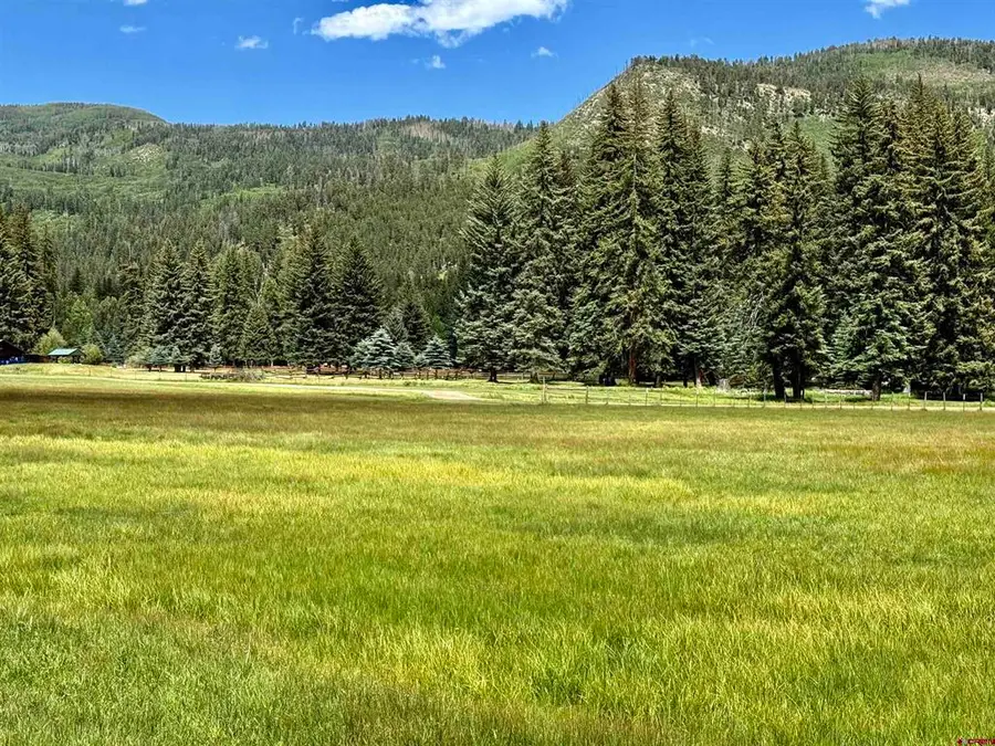156 Golden Forest Road, Bayfield, CO 81122 - #2