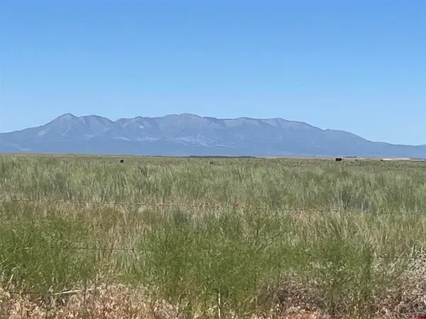 TBD Road H, Dove Creek, CO 81324