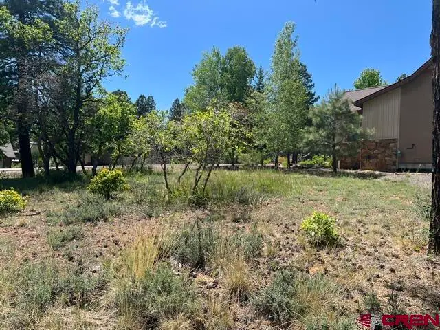 250 Copper Rim Trail, Durango, CO 81301 - #1
