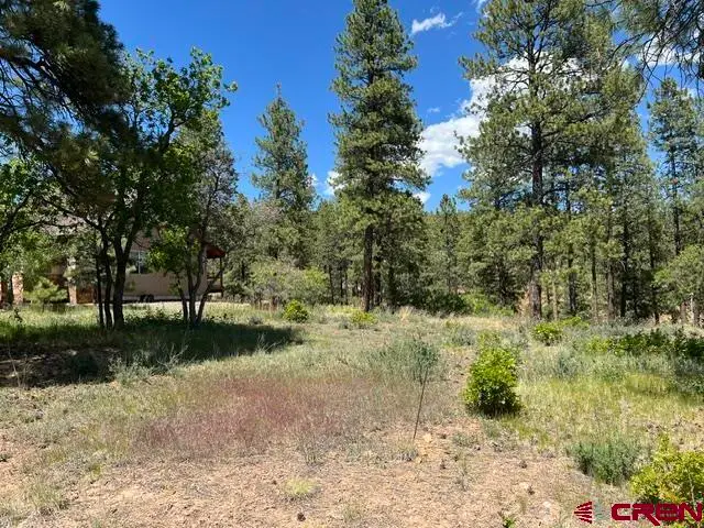 250 Copper Rim Trail, Durango, CO 81301 - #2
