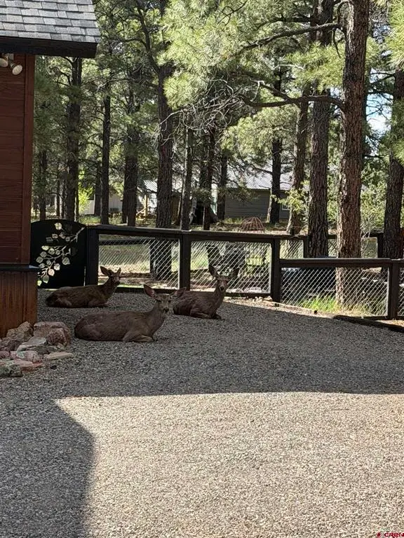 125 Teakwood Drive, Pagosa Springs, CO 81147 - #2