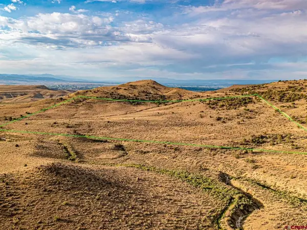 Lot 4 Oak Creek Road, Eckert, CO 81418