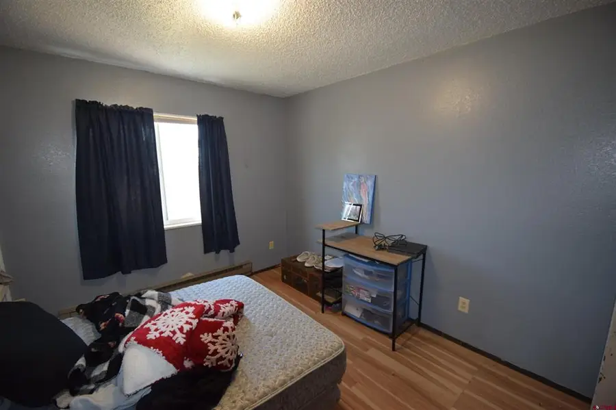 12403 E Spring Circle, Eckert, CO 81418 - #3