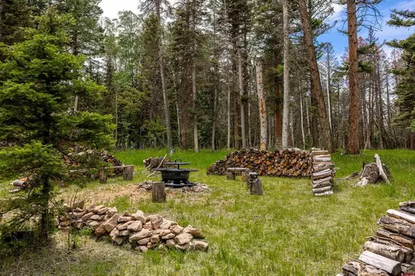 601 Balsam Road, Cimarron, CO 81220