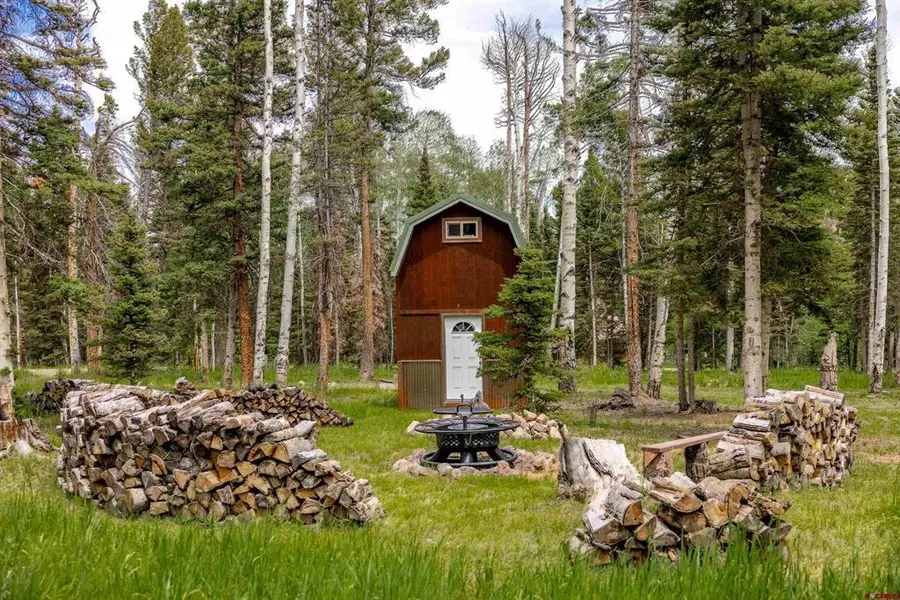 601 Balsam Road, Cimarron, CO 81220 - #2