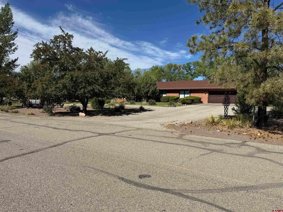 5811 Blue Spruce Avenue, Alamosa, CO 81101 - #2